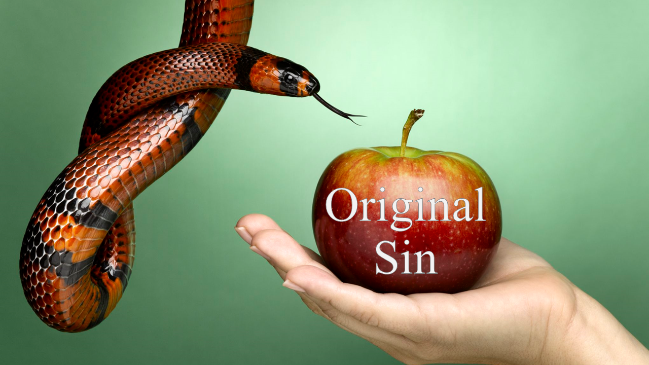 Original Sin Bible