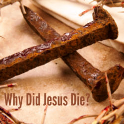 Why Did Jesus Die