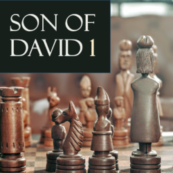 David’s Son 1