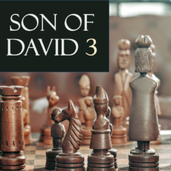 David’s Son 3