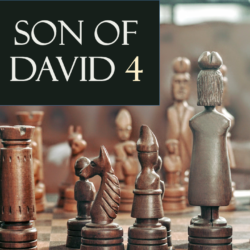 David’s Son 4