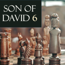 The Son Of David 6