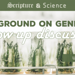 Scripture and Science 2 followup