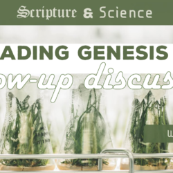 Scripture and Science 3 followup