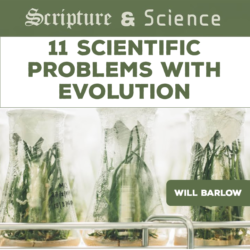 Scripture and Science 11