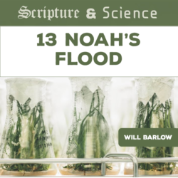 Scripture and Science 13