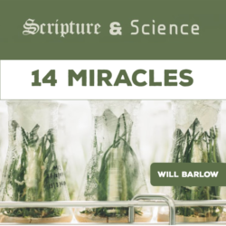 Scripture and Science 14
